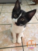 3���µ�Сè�� �������