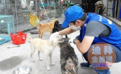 ����С�����������