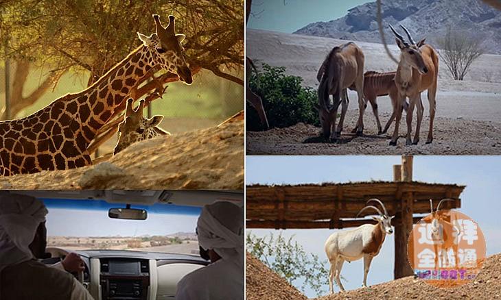 周五阿莱茵温泉烧烤一日游 周五阿莱茵温泉烧烤一日游