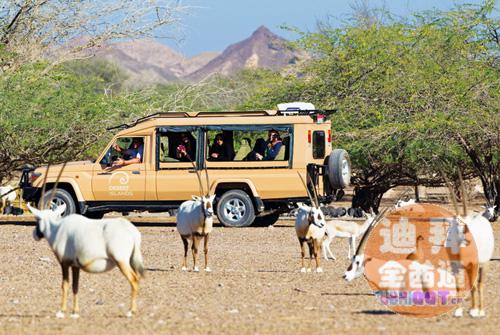 周五阿莱茵温泉烧烤一日游 周五阿莱茵温泉烧烤一日游