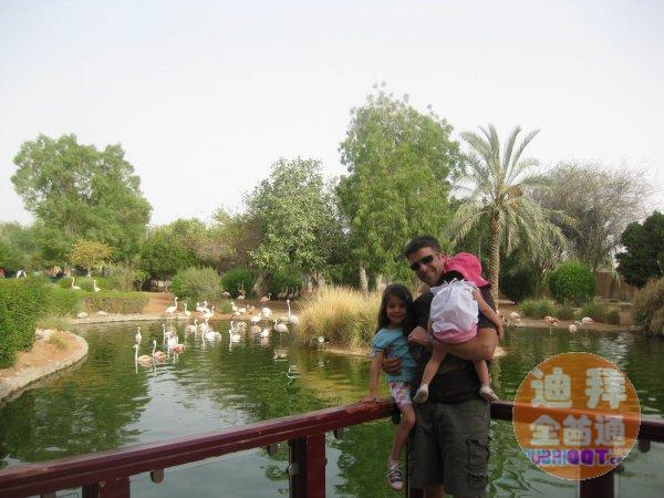 周五阿莱茵温泉烧烤一日游 周五阿莱茵温泉烧烤一日游