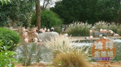 ���尢������Ȫ�տ�һ����