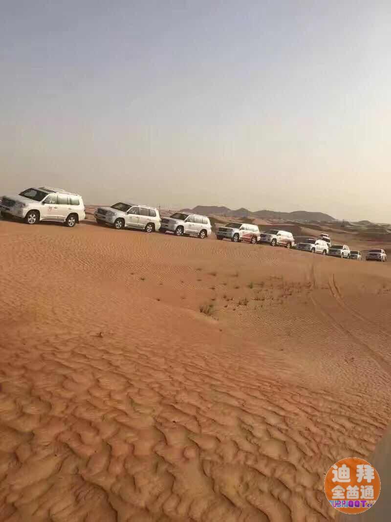 迪拜华人服务: 接机送机,商务考察,展会接送,代驾 迪拜华人服务: 接机送机,商务考察,展会接送,代驾