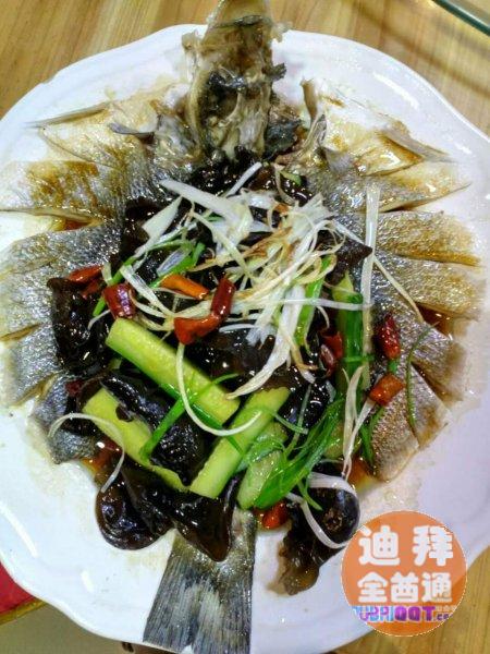 【美食】迪拜浔味菜馆(原南方菜馆)特色烤鱼,美味猪蹄 ,福清 【美食】迪拜浔味菜馆(原南方菜馆)特色烤鱼,美味猪蹄 ,福清