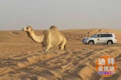 �ϰݻ��˷��� �ӻ��ͻ������񿼲죬չ����ͣ�����