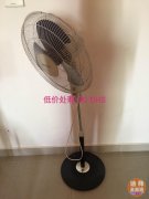 ȫ�׼Ҿ߼ҵ�˦��