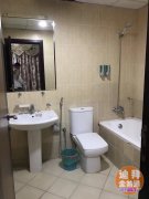 �ϰݹ��ʳ�CBD15��sun star 2����С���Գ���