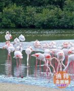 �ϰݷ���Emaar���ϰ���Ϫ��Dubai creek���