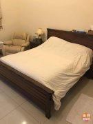 ����������������ף�������ͷ���嶷�����������