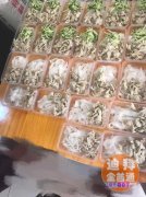 �ϰ���������ߦ��Ƥ��ʦ���Ƕ��Ƕ�ʮ����ĳ���ר�ң�