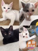 è���������