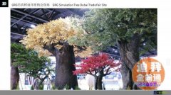 �������Ѱ��ҵ�����