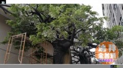 �������Ѱ��ҵ�����