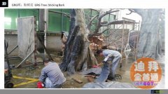 �������Ѱ��ҵ�����