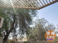 ���ϰݻ�����������/���Գ��⡿