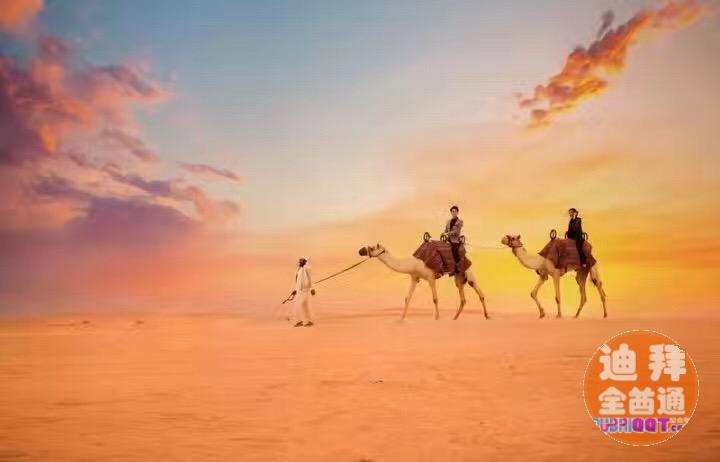 迪拜金棕榈国际旅游公司 中文导游贴心陪伴 迪拜金棕榈国际旅游公司 中文导游贴心陪伴