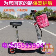 ȫ�µ綯�����綯���峵