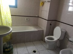 ����Ժ�����Ů����λ����