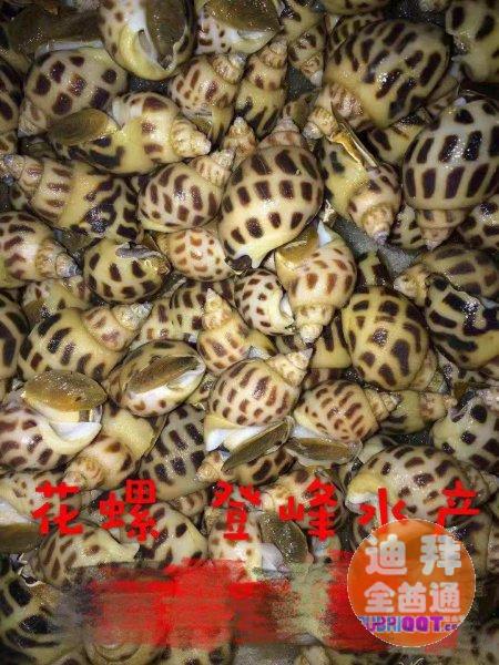【迪拜美食】浔味菜馆(原南方菜馆)特色烤鱼,美味猪蹄 ,干锅 【迪拜美食】浔味菜馆(原南方菜馆)特色烤鱼,美味猪蹄 ,干锅