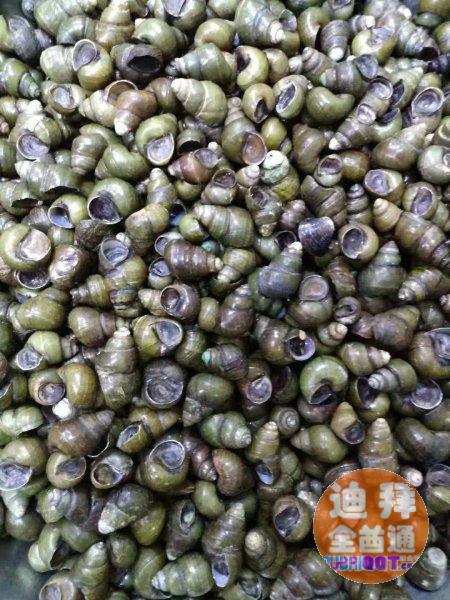 【迪拜美食】浔味菜馆(原南方菜馆)特色烤鱼,美味猪蹄 ,干锅 【迪拜美食】浔味菜馆(原南方菜馆)特色烤鱼,美味猪蹄 ,干锅