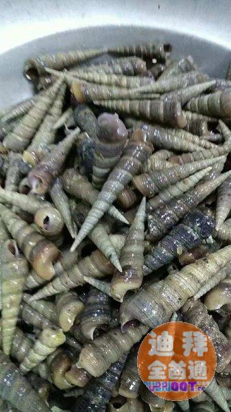 【迪拜美食】浔味菜馆(原南方菜馆)特色烤鱼,美味猪蹄 ,干锅 【迪拜美食】浔味菜馆(原南方菜馆)特色烤鱼,美味猪蹄 ,干锅