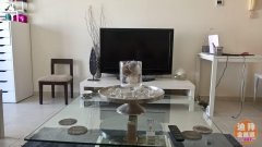 Discovery gardens̽����԰studio���⣬