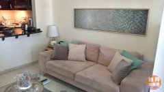 Discovery gardens̽����԰studio���⣬