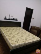 Mirdif���������Գ���