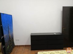 Mirdif���������Գ���