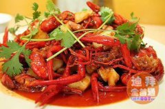 �ϰݹ�Ӧ�й�С��Ϻ