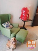 �ϰ����Ǳ������Գ��⣬��ˮ��������Ů��