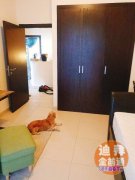 �ϰ����Ǳ������Գ��⣬��ˮ��������Ů��