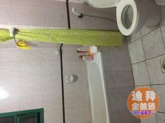 �ϰݵ�������Ů����λ����