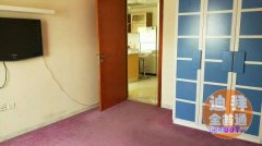 DargonView 6.5��4��֧Ʊ 6��һ�� ��װ�Ҿ�