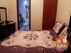 DargonView 6.5��4��֧Ʊ 6��һ�� ��װ�Ҿ�