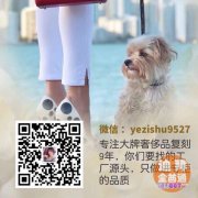 迪拜专注大牌奢侈品复刻9年,你们要找的工厂源头 迪拜专注大牌奢侈品复刻9年,你们要找的工厂源头