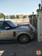 ������,�۸���,�������� Mirdif������������