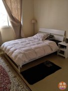 ������,�۸���,�������� Mirdif������������