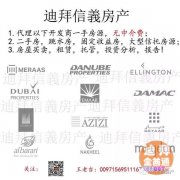 �ϰݾƵ��Ͷ�ʻر� Emaar �Ƶ꾫Ʒ