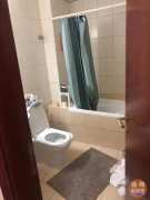 ���ʳ�CBD 21 ����