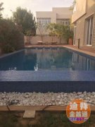 ��ȱ������ۣ����������ִ����