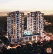 Ӣ�����׶�ѧ�������ϰ������ģ�ת�ַ�������һ�����ۣ��Լ۱ȸ�