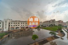 ������� һ�� ���� 33.5��