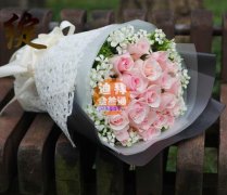 �ϰ�Ǯ¡����-�������ʻ�/�ϰ��ʻ�/���������ʻ���Ӧ��