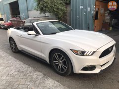 ��￭�������һ��һ��