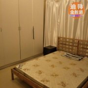 �ϰ�midf������һ�������Գ���