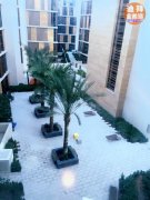 Dubai wharf  studio ���� ������˼�ܾƵ�