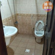 �������Գ��⣬�����̳����ָ�����ʱ���������ס