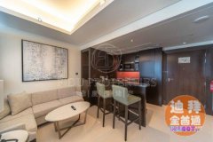 Dubai Mall �������ǹ�Ԣ����