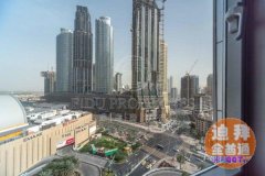 Dubai Mall �������ǹ�Ԣ����